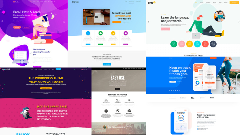 Wesbsite Creation in Massachusetts